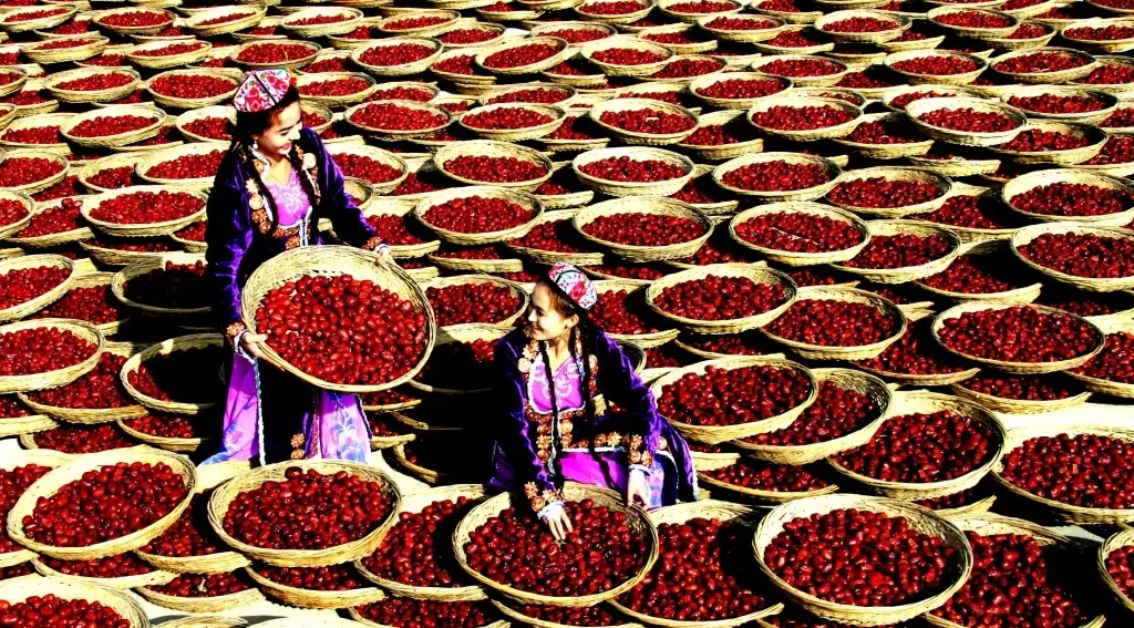 2026年新疆推動林果與葡萄酒“雙業振興”